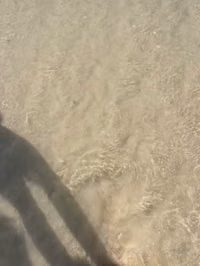 0hbtji8l8fxh5o9oqq7y0_source.mp4