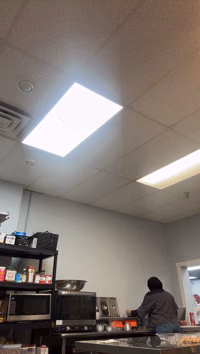 Arab tiktok lives