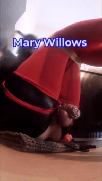 Y94l4IZbz6cmFWn7.mp4