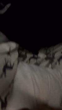 Stream started at 02062024 0214 am  Happy Ninja Day! Cause he’s such a cutie and cats make me smile. Tips for treats.mp4