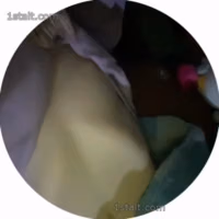 1stalt.com (7).mp4