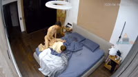 IPCAM (06/23/26)