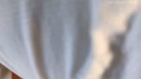 tatti (57).webm