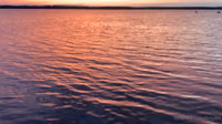 5f60144577adceea50bc1_source.mp4