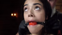 [Kink.com] Harmony Wonder BSDM.mp4