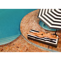 UselessLovableBlowfish-large409bd78e1a984176.jpg