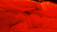turkishcouple_2019.10.17_72776029_We_got_crazy_nights_at_Cappadocia_and.mp4