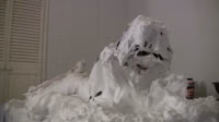 The Creaming of Hannah.mp4