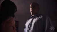 Lulu Chu