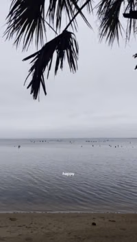 7348954592761351470_HD.mp4