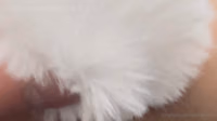 Fuck Video Part 3 bunny girl cosplay.mp4
