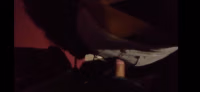 Gatomon.mp4