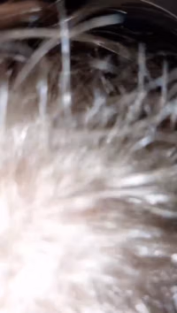 kxB_SIbVQVqh6HOw.mp4