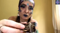 Estrela Cósmica ASMR - @its.danniele