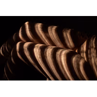 2024-02-05 3840x2560_2d73bf53742d83bf67b7b622b7a589a1.jpeg