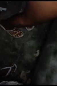 cachinhos_dourados (36).mp4