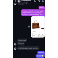 masstiktok_itsmajajo__#bag #teddyblake #helpagirlout _SLASH_.jpeg