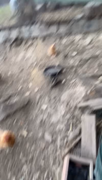 [2023-08-31] 2f2af024-0264-40ee-8046-130fa537ebb7.mov