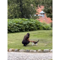 pic_4.jpeg