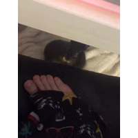 Emily-Emiru-Schunk-Feet-8270772.jpg