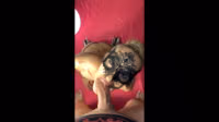 Throat Goat - Blond Slut Sucks Daddy's Dick (Id 1894159).mp4