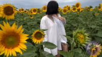 Girls Hunters of Beauty-Sunflowers 1 & 2