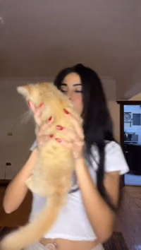 Klk39dFjwcE.mp4