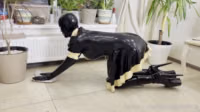 latexdiva