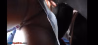 Quality bird accepts the grope.mp4