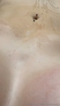nurserachelrn22