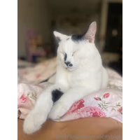 3024x4032_564dee89c69d2bd45d813cf0f76a8fab.jpeg