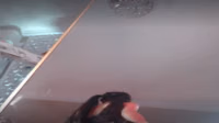 asianbunny of lives