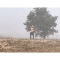 [0578548] Foggy morning flasher. (2) [2017-09-23].jpg
