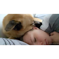 2208x1170_dc8d67115d05e6fd54e21f2d8b2ab5fc.jpg