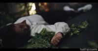 Barbie Rous - Plants vs Cunts Vol.5 (PlantsvsCunts).mp4
