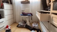aliss_blond VODS