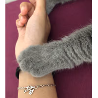 nsfwflirts