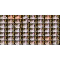 tittietia19-2023-09-18-224638-Streamate.jpg