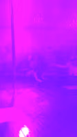 [0237355]  [2017-05-20].mp4