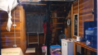 [18+] Quarantined.mp4