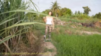 [18+] Wade through the fields - ลุยทุ่ง 논.mkv