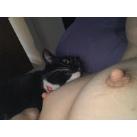 3088x2316_afe69458df56f905587ee7709fbcf9e2595374.jpg