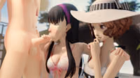 Amateur Throwaway Persona Short Animations