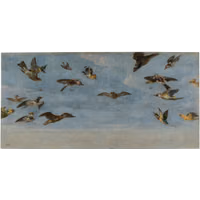 Snyders, Frans Un mochuelo y multitud de pÃ¡jaros.jpg