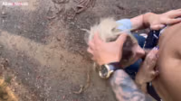 27 ─ Loirinha MAMANDO GOSTOSO no mato.mp4