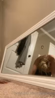 corinna kopf video (12).mp4
