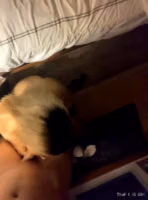 that1iggirl onlyfans 9.mp4