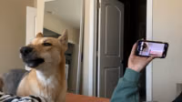 vceny3.mp4