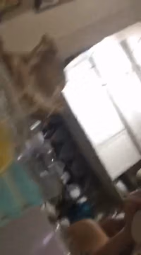 (29).mp4
