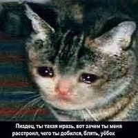 2324741045010316343_10823720401.jpg